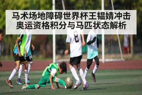 马术场地障碍世界杯王韫婧冲击奥运资格积分与马匹状态解析